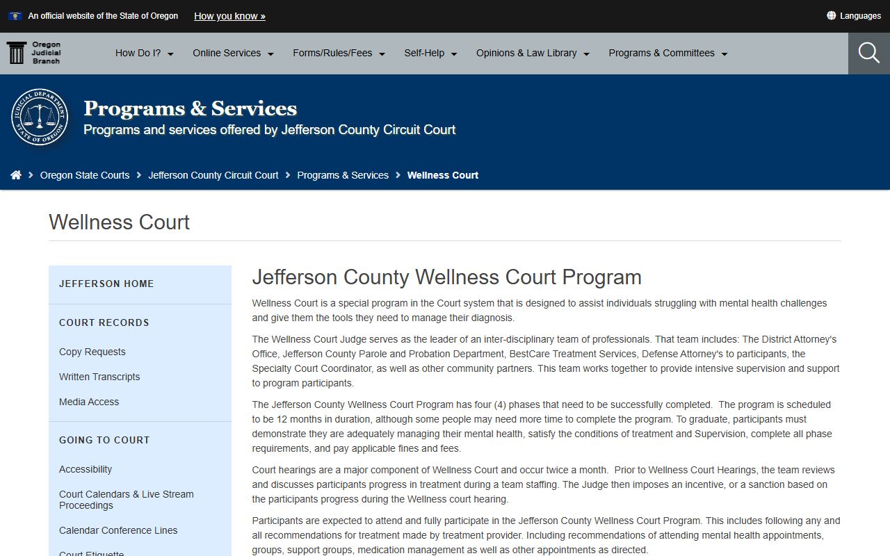 Jefferson County criminal court records Wellness Court page