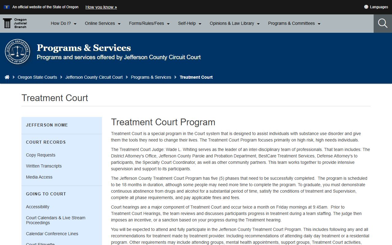 Jefferson County criminal court records Treatment Court page